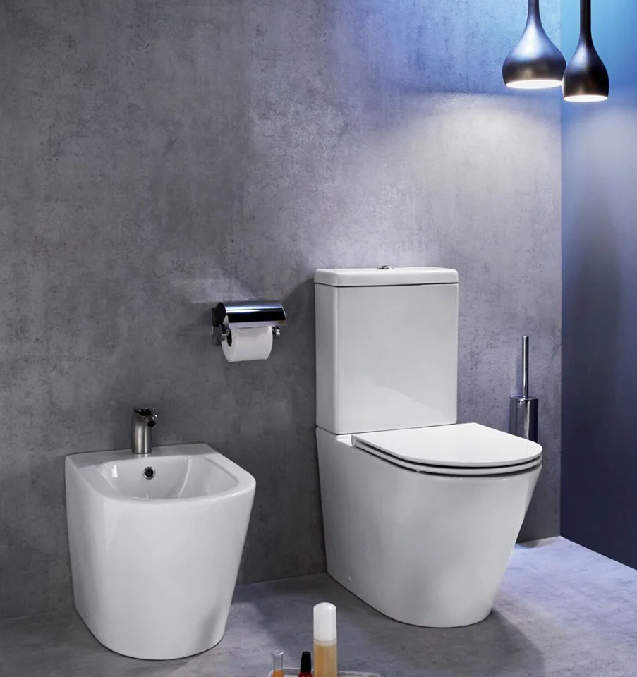 Louça Sanitária Jacob Delafon Rodin